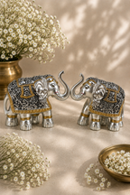 Shree Gajanan Silver Pair